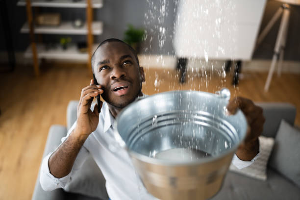 Best Water damage contractors near me  in Mion, AR