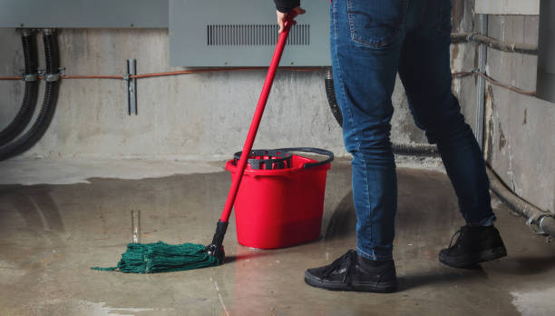 Best Water damage restoration specialists  in Mion, AR