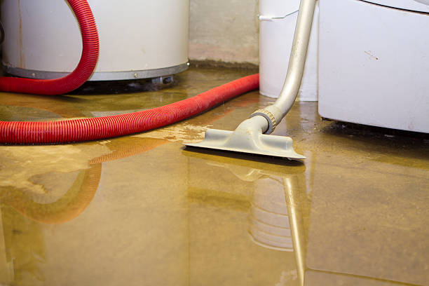 Best Water damage contractors near me  in Mion, AR