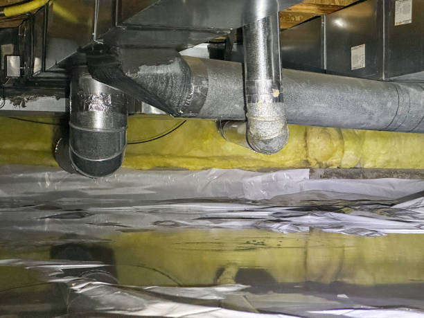 Best Basement water damage restoration  in Mion, AR