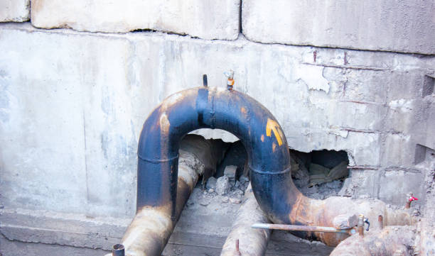 Best Mold removal after water damage  in Mion, AR
