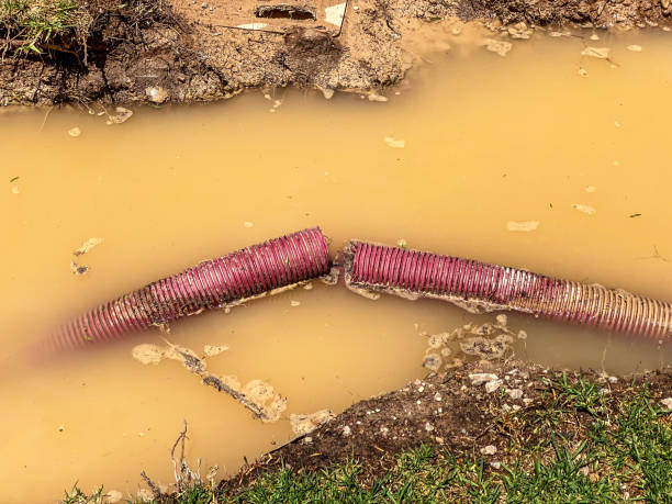 Best 24-hour water damage restoration  in Mion, AR