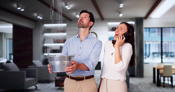 Best Carpet water damage restoration  in Mion, AR
