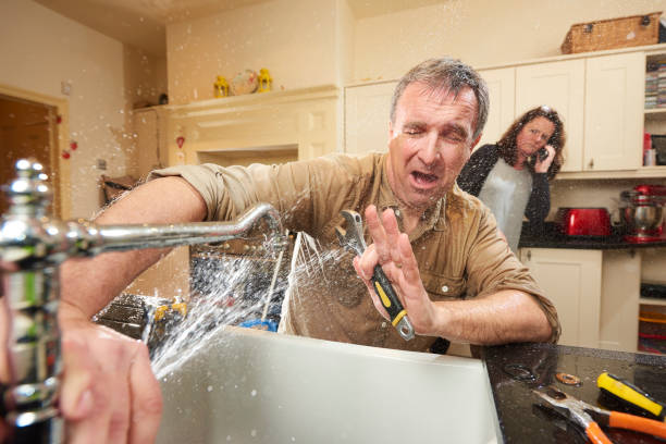 Best Mold removal after water damage  in Mion, AR